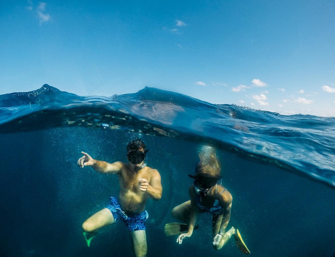 Manta Lodge & Scuba Centre Point Lookout Dış mekan fotoğraf